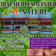 Illustration for article titled obat herpes de nature